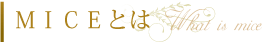 MICEとは