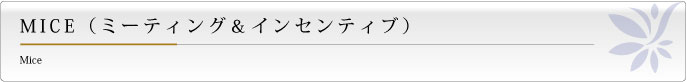 MICE(ミーティング&インセンティブ)