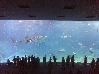 「美ら海水族館」チケット＆口コミで人気の朝食付き宿泊プラン!!!